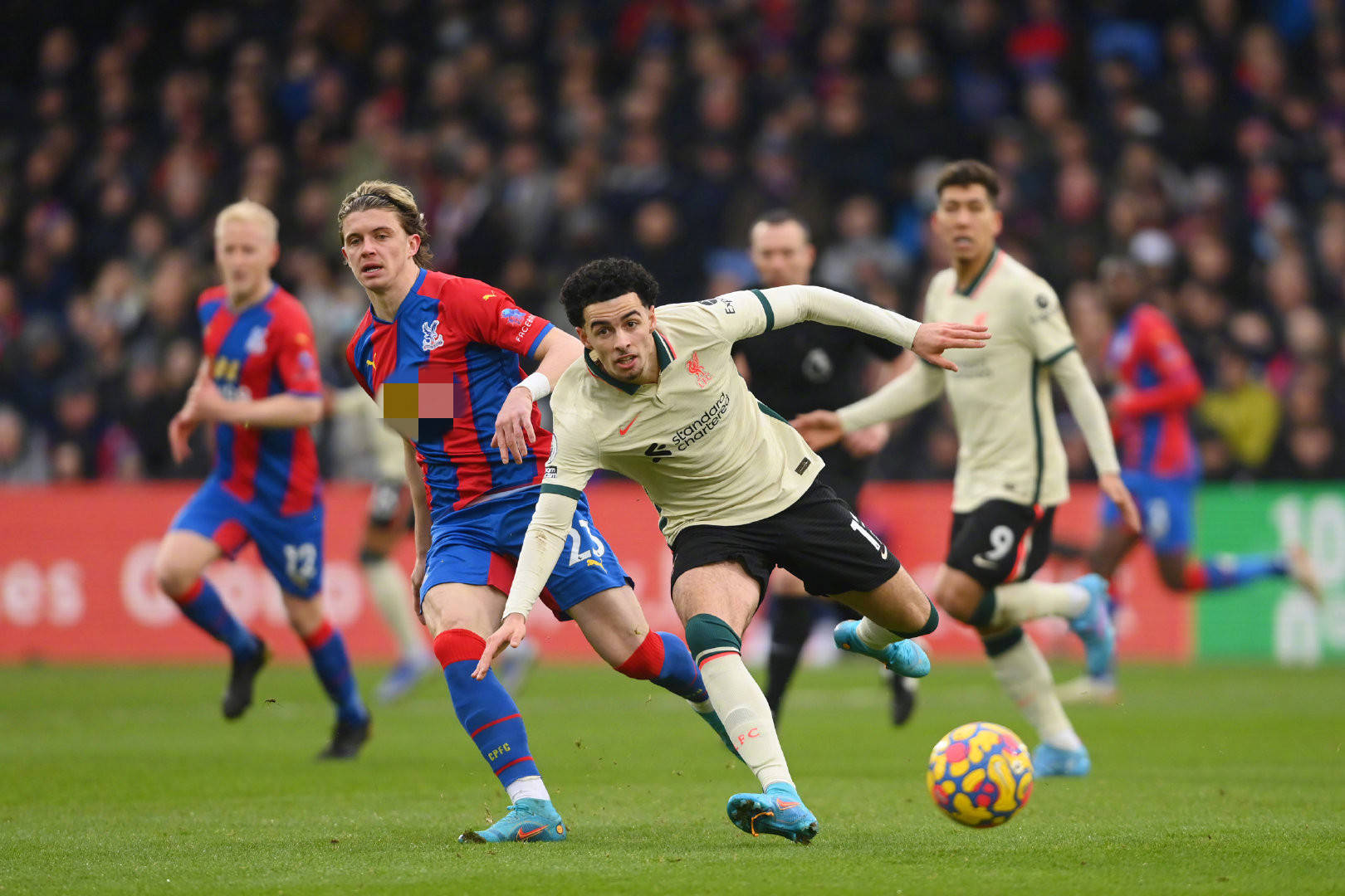 余依婷的辉 余依婷的辉